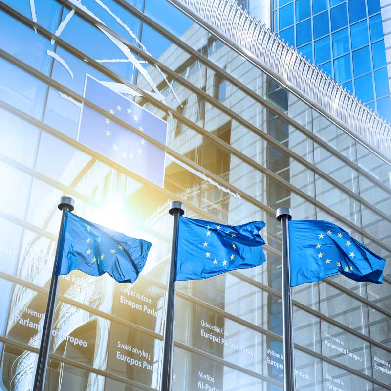 EU flags in front of a building